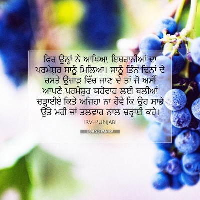 Picture 07 - ਖ਼ਰੋਜ 5:3 PANIRV - ਫਿਰ ਉਨ੍ਹਾਂ ਨੇ ਆਖਿਆ, - Bible Verse Picture