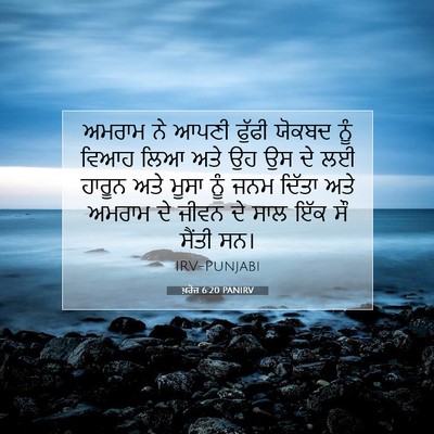 Picture 07 - ਖ਼ਰੋਜ 6:20 PANIRV - ਅਮਰਾਮ ਨੇ ਆਪਣੀ - Bible Verse Picture