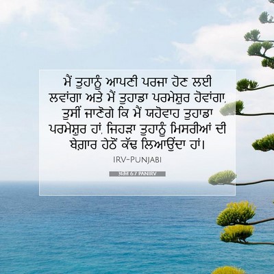 Picture 07 - ਖ਼ਰੋਜ 6:7 PANIRV - ਮੈਂ ਤੁਹਾਨੂੰ ਆਪਣੀ - Bible Verse Picture