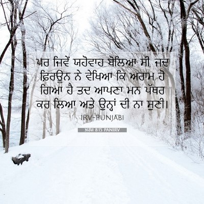 Picture 07 - ਖ਼ਰੋਜ 8:15 PANIRV - ਪਰ ਜਿਵੇਂ ਯਹੋਵਾਹ - Bible Verse Picture