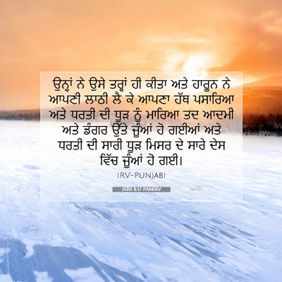 Picture 07 - ਖ਼ਰੋਜ 8:17 PANIRV - ਉਨ੍ਹਾਂ ਨੇ ਉਸੇ - Bible Verse Picture