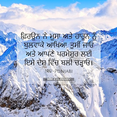 Picture 07 - ਖ਼ਰੋਜ 8:25 PANIRV - ਫ਼ਿਰਊਨ ਨੇ ਮੂਸਾ ਅਤੇ - Bible Verse Picture