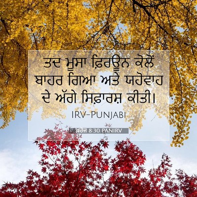 Picture 07 - ਖ਼ਰੋਜ 8:30 PANIRV - ਤਦ ਮੂਸਾ ਫ਼ਿਰਊਨ - Bible Verse Picture