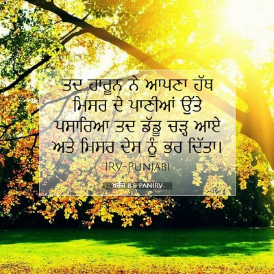 Picture 07 - ਖ਼ਰੋਜ 8:6 PANIRV - ਤਦ ਹਾਰੂਨ ਨੇ ਆਪਣਾ - Bible Verse Picture