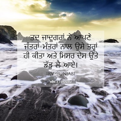 Picture 07 - ਖ਼ਰੋਜ 8:7 PANIRV - ਤਦ ਜਾਦੂਗਰਾਂ ਨੇ - Bible Verse Picture