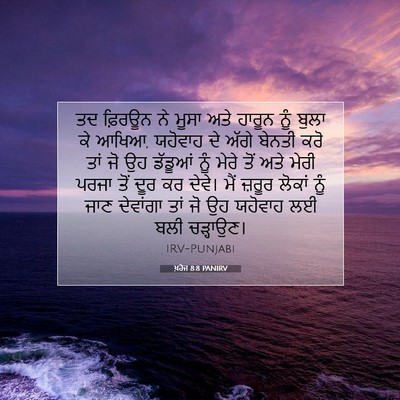 Picture 07 - ਖ਼ਰੋਜ 8:8 PANIRV - ਤਦ ਫ਼ਿਰਊਨ ਨੇ ਮੂਸਾ - Bible Verse Picture