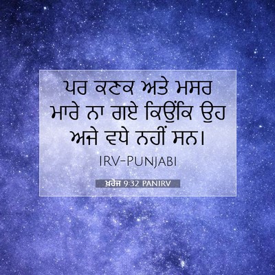 Picture 07 - ਖ਼ਰੋਜ 9:32 PANIRV - ਪਰ ਕਣਕ ਅਤੇ ਮਸਰ ਮਾਰੇ - Bible Verse Picture