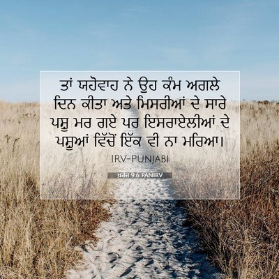 Picture 07 - ਖ਼ਰੋਜ 9:6 PANIRV - ਤਾਂ ਯਹੋਵਾਹ ਨੇ ਉਹ - Bible Verse Picture