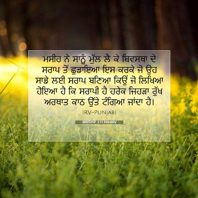Picture 07 - ਗਲਾਤਿਯਾ 3:13 PANIRV - ਮਸੀਹ ਨੇ ਸਾਨੂੰ ਮੁੱਲ - Bible Verse Picture