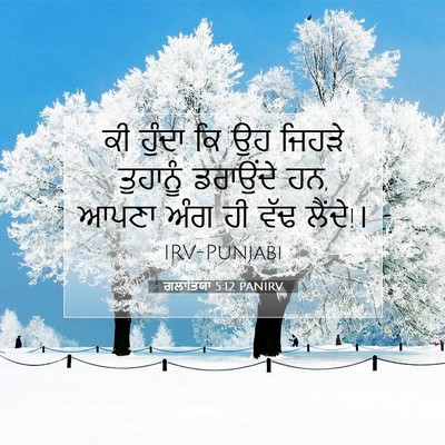 Picture 07 - ਗਲਾਤਿਯਾ 5:12 PANIRV - ਕੀ ਹੁੰਦਾ ਕਿ ਉਹ - Bible Verse Picture