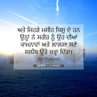 Picture 07 - ਗਲਾਤਿਯਾ 5:24 PANIRV - ਅਤੇ ਜਿਹੜੇ ਮਸੀਹ - Bible Verse Picture
