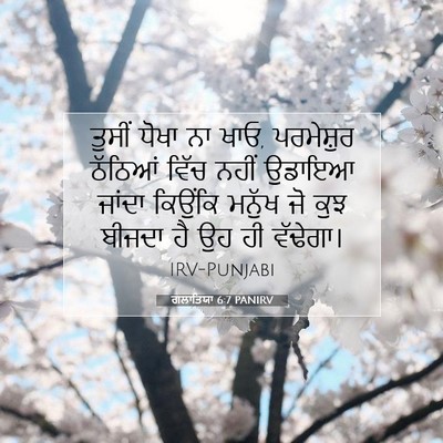 Picture 07 - ਗਲਾਤਿਯਾ 6:7 PANIRV - ਤੁਸੀਂ ਧੋਖਾ ਨਾ ਖਾਓ, - Bible Verse Picture