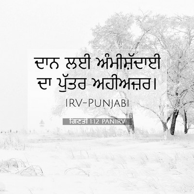 Picture 07 - ਗਿਣਤੀ 1:12 PANIRV - ਦਾਨ ਲਈ ਅੰਮੀਸ਼ੱਦਾਈ - Bible Verse Picture