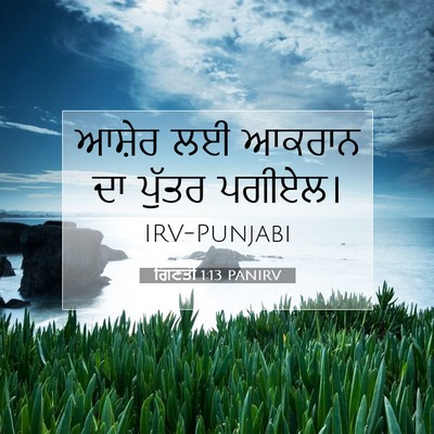 Picture 07 - ਗਿਣਤੀ 1:13 PANIRV - ਆਸ਼ੇਰ ਲਈ ਆਕਰਾਨ ਦਾ - Bible Verse Picture
