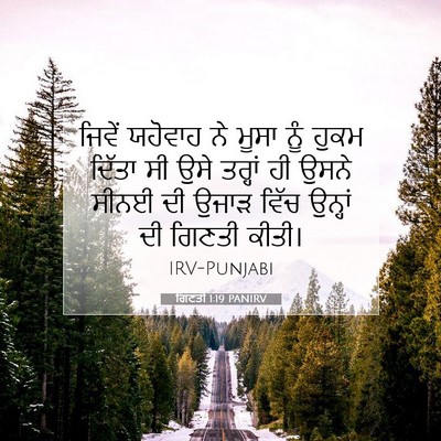 Picture 07 - ਗਿਣਤੀ 1:19 PANIRV - ਜਿਵੇਂ ਯਹੋਵਾਹ ਨੇ - Bible Verse Picture