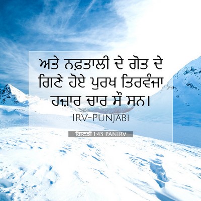 Picture 07 - ਗਿਣਤੀ 1:43 PANIRV - ਅਤੇ ਨਫ਼ਤਾਲੀ ਦੇ ਗੋਤ - Bible Verse Picture
