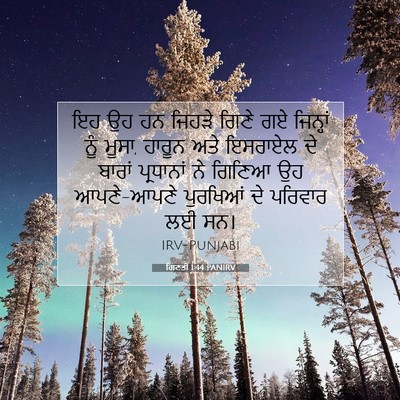 Picture 07 - ਗਿਣਤੀ 1:44 PANIRV - ਇਹ ਉਹ ਹਨ ਜਿਹੜੇ ਗਿਣੇ - Bible Verse Picture