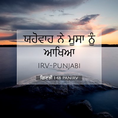 Picture 07 - ਗਿਣਤੀ 1:48 PANIRV - ਯਹੋਵਾਹ ਨੇ ਮੂਸਾ ਨੂੰ - Bible Verse Picture