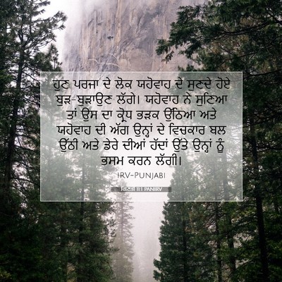 Picture 07 - ਗਿਣਤੀ 11:1 PANIRV - ਹੁਣ ਪਰਜਾ ਦੇ ਲੋਕ - Bible Verse Picture