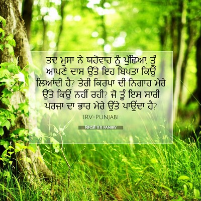 Picture 07 - ਗਿਣਤੀ 11:11 PANIRV - ਤਦ ਮੂਸਾ ਨੇ ਯਹੋਵਾਹ - Bible Verse Picture