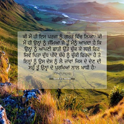 Picture 07 - ਗਿਣਤੀ 11:12 PANIRV - ਕੀ ਮੈਂ ਹੀ ਇਸ ਪਰਜਾ - Bible Verse Picture