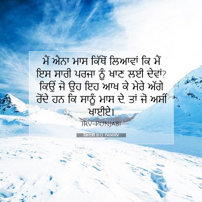 Picture 07 - ਗਿਣਤੀ 11:13 PANIRV - ਮੈਂ ਐਨਾ ਮਾਸ ਕਿੱਥੋਂ - Bible Verse Picture
