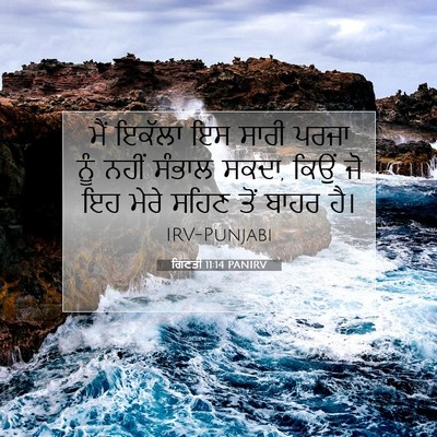 Picture 07 - ਗਿਣਤੀ 11:14 PANIRV - ਮੈਂ ਇਕੱਲਾ ਇਸ ਸਾਰੀ - Bible Verse Picture