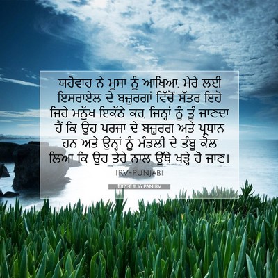 Picture 07 - ਗਿਣਤੀ 11:16 PANIRV - ਯਹੋਵਾਹ ਨੇ ਮੂਸਾ ਨੂੰ - Bible Verse Picture