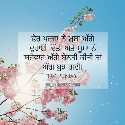 Picture 07 - ਗਿਣਤੀ 11:2 PANIRV - ਫੇਰ ਪਰਜਾ ਨੇ ਮੂਸਾ - Bible Verse Picture