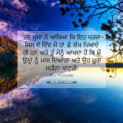 Picture 07 - ਗਿਣਤੀ 11:21 PANIRV - ਤਦ ਮੂਸਾ ਨੇ ਆਖਿਆ ਕਿ - Bible Verse Picture