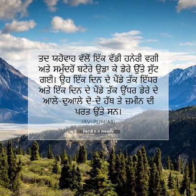 Picture 07 - ਗਿਣਤੀ 11:31 PANIRV - ਤਦ ਯਹੋਵਾਹ ਵੱਲੋਂ - Bible Verse Picture