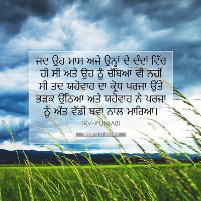 Picture 07 - ਗਿਣਤੀ 11:33 PANIRV - ਜਦ ਉਹ ਮਾਸ ਅਜੇ - Bible Verse Picture