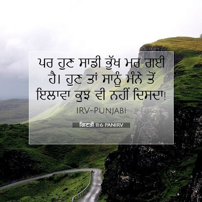 Picture 07 - ਗਿਣਤੀ 11:6 PANIRV - ਪਰ ਹੁਣ ਸਾਡੀ ਭੁੱਖ ਮਰ - Bible Verse Picture