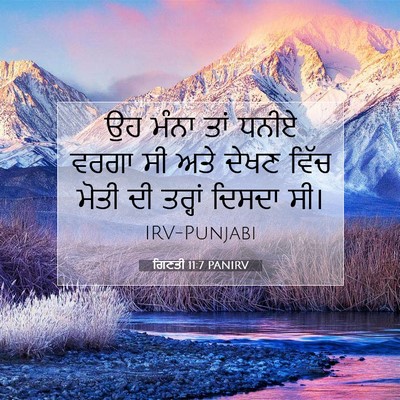 Picture 07 - ਗਿਣਤੀ 11:7 PANIRV - ਉਹ ਮੰਨਾ ਤਾਂ ਧਨੀਏ - Bible Verse Picture