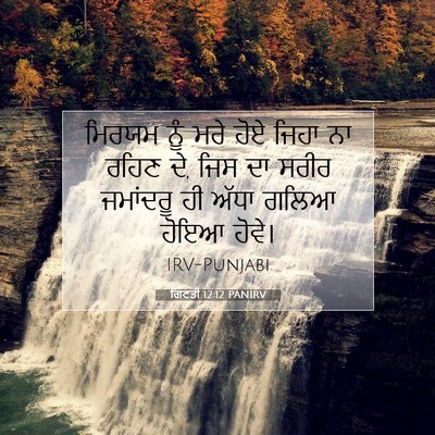 Picture 07 - ਗਿਣਤੀ 12:12 PANIRV - ਮਿਰਯਮ ਨੂੰ ਮਰੇ ਹੋਏ - Bible Verse Picture