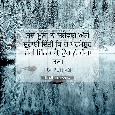 Picture 07 - ਗਿਣਤੀ 12:13 PANIRV - ਤਦ ਮੂਸਾ ਨੇ ਯਹੋਵਾਹ - Bible Verse Picture