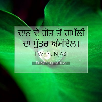 Picture 07 - ਗਿਣਤੀ 13:12 PANIRV - ਦਾਨ ਦੇ ਗੋਤ ਤੋਂ - Bible Verse Picture