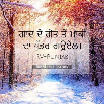 Picture 07 - ਗਿਣਤੀ 13:15 PANIRV - ਗਾਦ ਦੇ ਗੋਤ ਤੋਂ ਮਾਕੀ - Bible Verse Picture