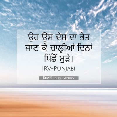 Picture 07 - ਗਿਣਤੀ 13:25 PANIRV - ਉਹ ਉਸ ਦੇਸ ਦਾ ਭੇਤ - Bible Verse Picture