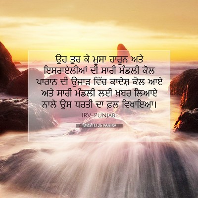 Picture 07 - ਗਿਣਤੀ 13:26 PANIRV - ਉਹ ਤੁਰ ਕੇ ਮੂਸਾ - Bible Verse Picture