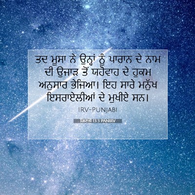 Picture 07 - ਗਿਣਤੀ 13:3 PANIRV - ਤਦ ਮੂਸਾ ਨੇ ਉਨ੍ਹਾਂ - Bible Verse Picture