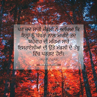 Picture 07 - ਗਿਣਤੀ 14:10 PANIRV - ਪਰ ਜਦ ਸਾਰੀ ਮੰਡਲੀ ਨੇ - Bible Verse Picture