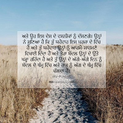 Picture 07 - ਗਿਣਤੀ 14:14 PANIRV - ਅਤੇ ਉਹ ਇਸ ਦੇਸ ਦੇ - Bible Verse Picture