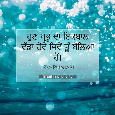 Picture 07 - ਗਿਣਤੀ 14:17 PANIRV - ਹੁਣ ਪ੍ਰਭੂ ਦਾ ਇਕਬਾਲ - Bible Verse Picture