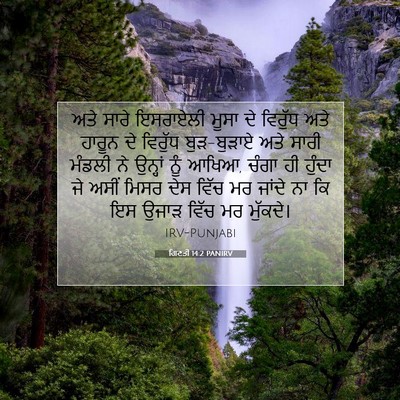 Picture 07 - ਗਿਣਤੀ 14:2 PANIRV - ਅਤੇ ਸਾਰੇ ਇਸਰਾਏਲੀ - Bible Verse Picture