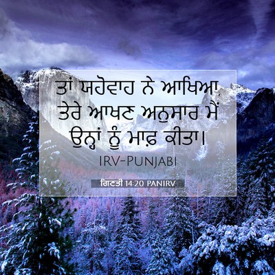 Picture 07 - ਗਿਣਤੀ 14:20 PANIRV - ਤਾਂ ਯਹੋਵਾਹ ਨੇ ਆਖਿਆ, - Bible Verse Picture