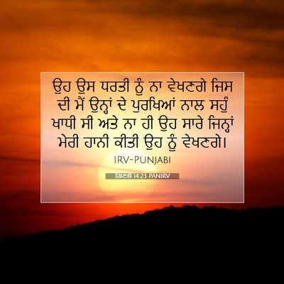 Picture 07 - ਗਿਣਤੀ 14:23 PANIRV - ਉਹ ਉਸ ਧਰਤੀ ਨੂੰ ਨਾ - Bible Verse Picture