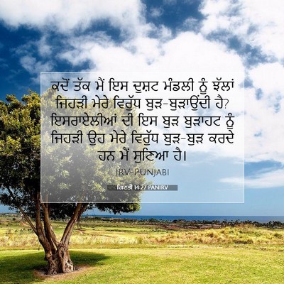 Picture 07 - ਗਿਣਤੀ 14:27 PANIRV - ਕਦੋਂ ਤੱਕ ਮੈਂ ਇਸ - Bible Verse Picture