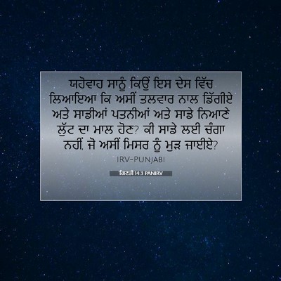 Picture 07 - ਗਿਣਤੀ 14:3 PANIRV - ਯਹੋਵਾਹ ਸਾਨੂੰ ਕਿਉਂ - Bible Verse Picture