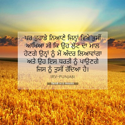 Picture 07 - ਗਿਣਤੀ 14:31 PANIRV - ਪਰ ਤੁਹਾਡੇ ਨਿਆਣੇ - Bible Verse Picture